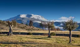 Izan Puerta de Gredos