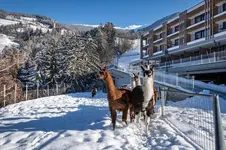 Hotel Torgglerhof