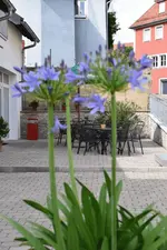 Hotel Sammeth Bräu