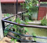 Saythong Boutique Hotel