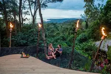 Selva Armonia Immersive Jungle Resort