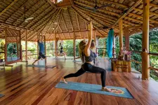 Selva Armonia Immersive Jungle Resort