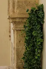 Hotel San Nicola
