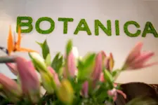 Hotel Botanica