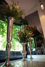 Hotel Botanica
