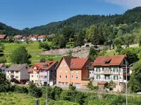 Hotel Grüner Baum
