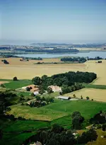 Boutique Hotel Gut Tribbevitz