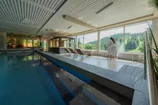 Wellnesshotel Schwarzwald am Notschreipass