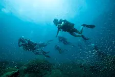 Tilar Siro Andamans