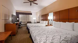 Best Western Plus Silver Saddle Inn