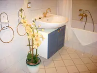 Elegant-Hotel Zur Burg