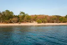 NusaBay Menjangan