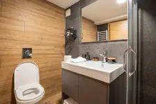 Modern Mountain