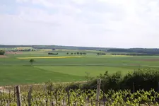 Landhotel & Weingut Espenhof