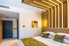Hotel Ivascu