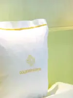 Goldener Karpfen