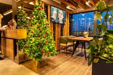 Hotel Forest