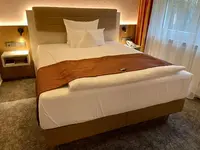 Hotel Merkur