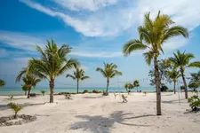 You & Me Resort