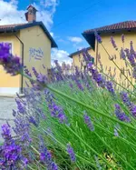 Cascina Domina