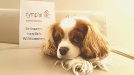 Nymphe Strandhotel & Apartments