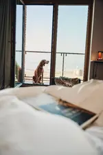 Hotel Haus am Meer