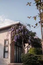 Casa Foresta Nan