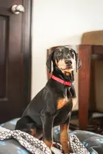 Hotel Villa Los Candiles