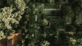 Roots Resort