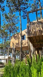 Bukubaki Eco Surf