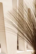 Asty Mykonos Hotel & Spa (World of One Hotel Group)