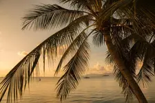 Tembo Beach Club & Resort