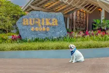 Aurika, Coorg Luxury (By Lemon Tree Hotels)