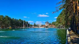 Vila Maša Zlatibor