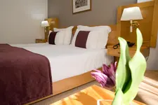 Hotel Rainha D. Amélia (Arts & Leisure)