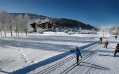 Hotel Zum Jungen Römer