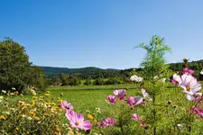 Auberge et Hostellerie Paysanne