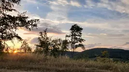 Landgasthof Steuber