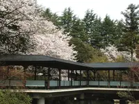 Matsusaki