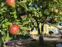 Hotel Wandersleben