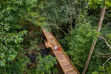 Chachagua Rainforest Hotel