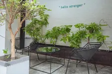 Chocolate Box Mint Hotel