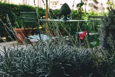 Eveline Portosole Hotel