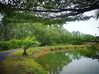 Calm at Bangphat