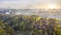 Blue Karma Dijiwa Ubud