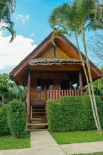 Pai Homey