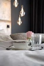 The Newsha Signature Home
