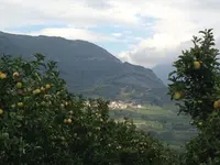 Agritur Le Pergole