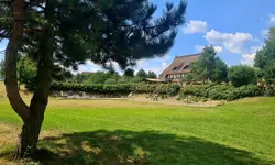 Borstel-Treff
