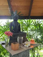 Palm Garden Ayurveda Resort